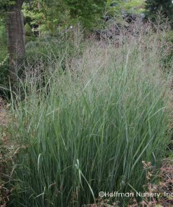 Grass, Switch, Heavy Metal