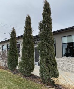 Juniper, Woodward