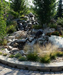Landscape Design and Installation